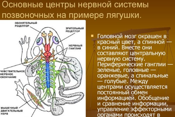 Кракен активная ссылка