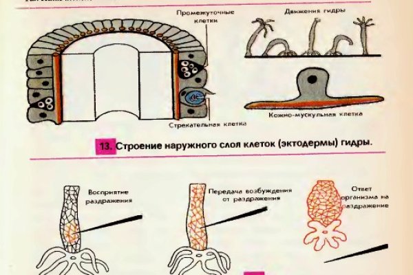 Кракен тгк